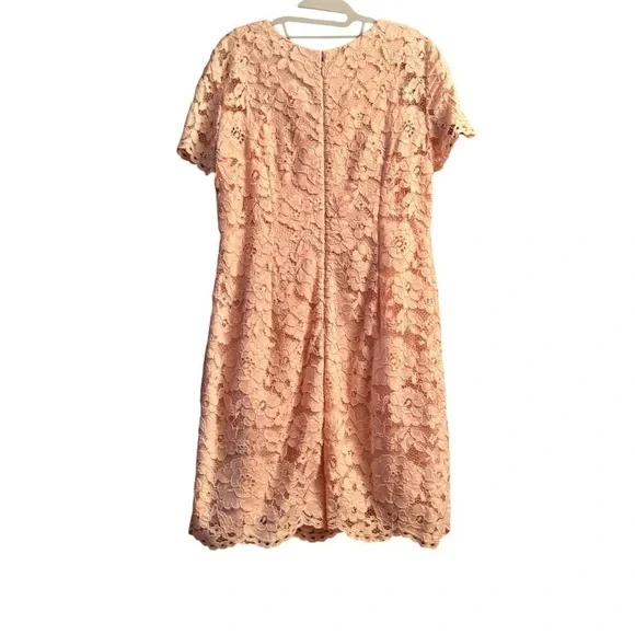 Lauren Ralph Lauren Pale Pink Lace Dress Sz 16 - Picture 2 of 5